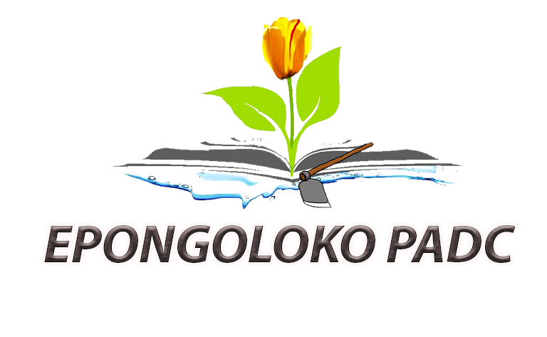 EPONGOLOKO